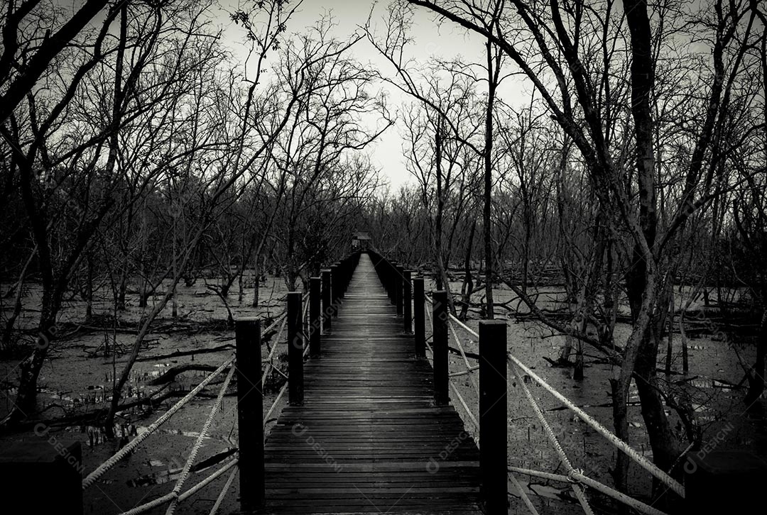 Silhueta da ponte de madeira com cerca de corda branca na floresta.