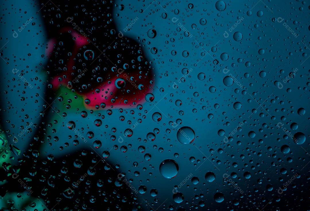 Imagem borrada de uma rosa vermelha atrás de um vidro transparente de uma janela