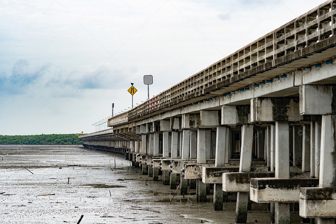 Ponte de concreto sobre a floresta de mangue