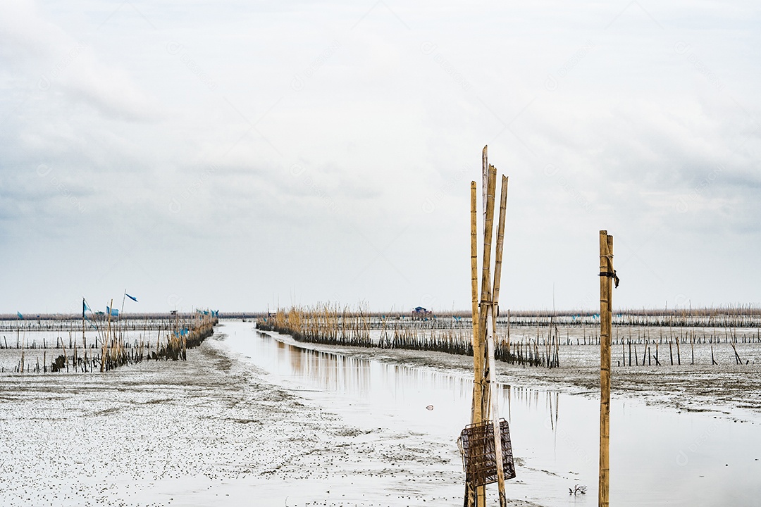 Beira-mar com baixo nível de água, fazenda de conchas com bambu seco e argila