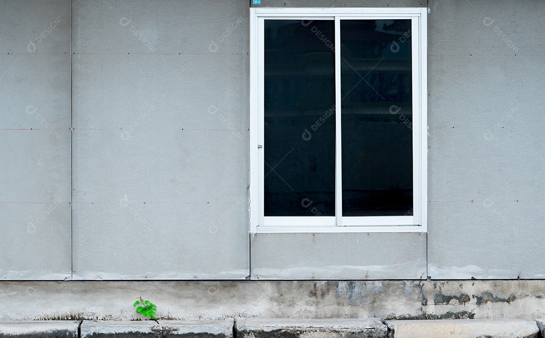 Parede de placas de gesso com janela branca e planta crescendo na parte inferior