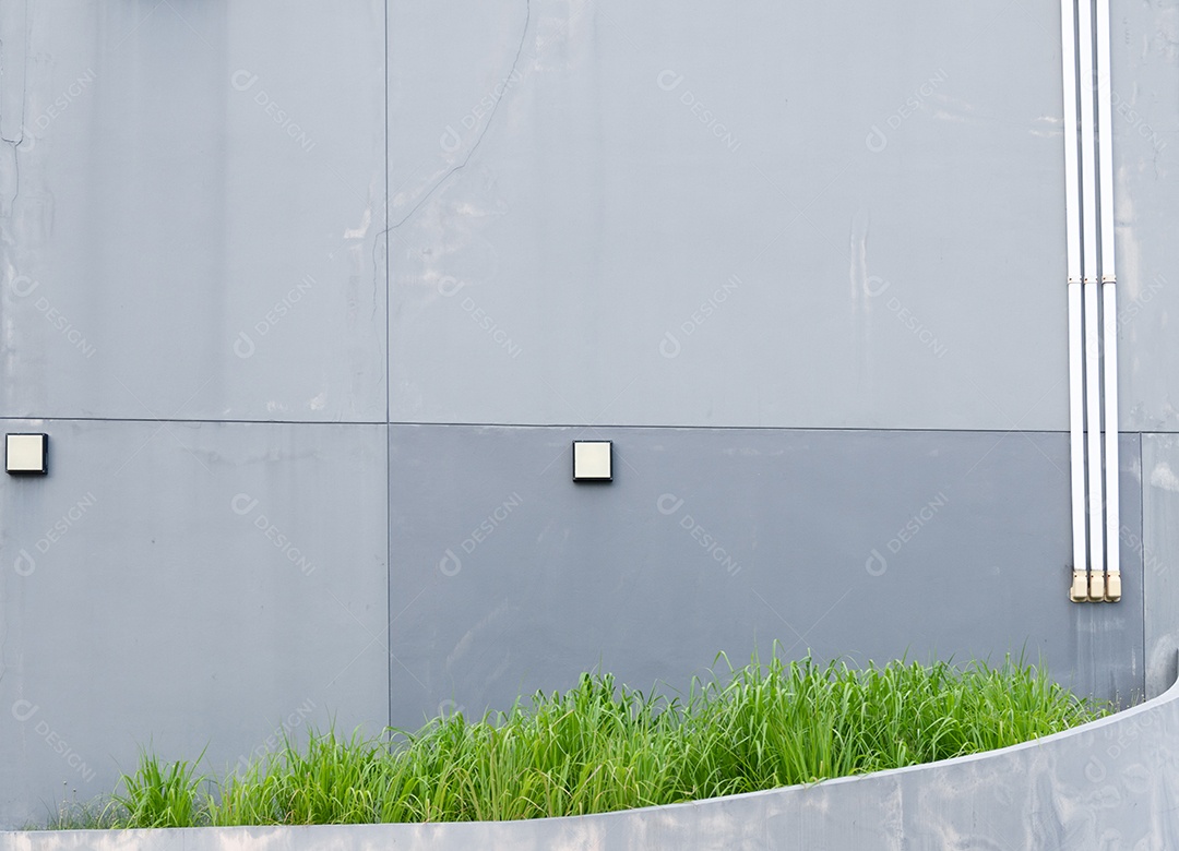 Velho muro de concreto cinza pálido e rachado e tem grama verde na parte inferior