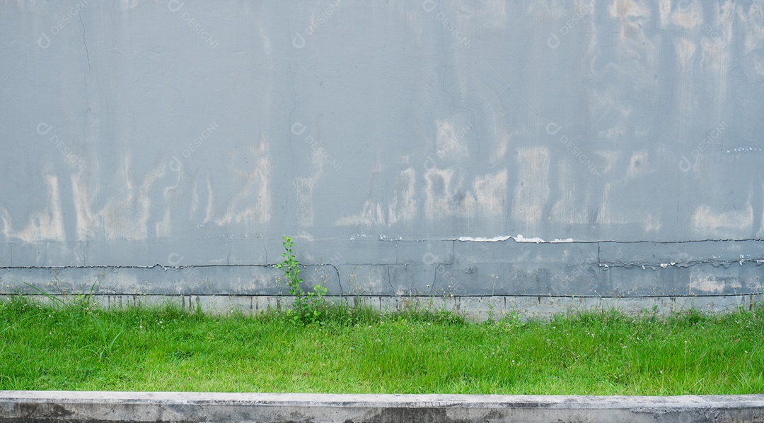 Velho muro de concreto cinza pálido e rachado e tem grama verde na parte inferior