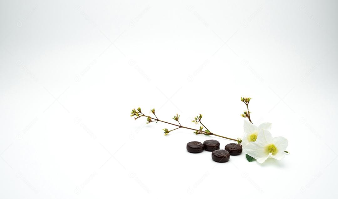 Pastilhas de ervas marrons com flores brancas sobre fundo branco.