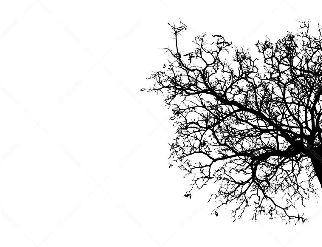 Silhueta de árvore morta e galho isolado no fundo branco.