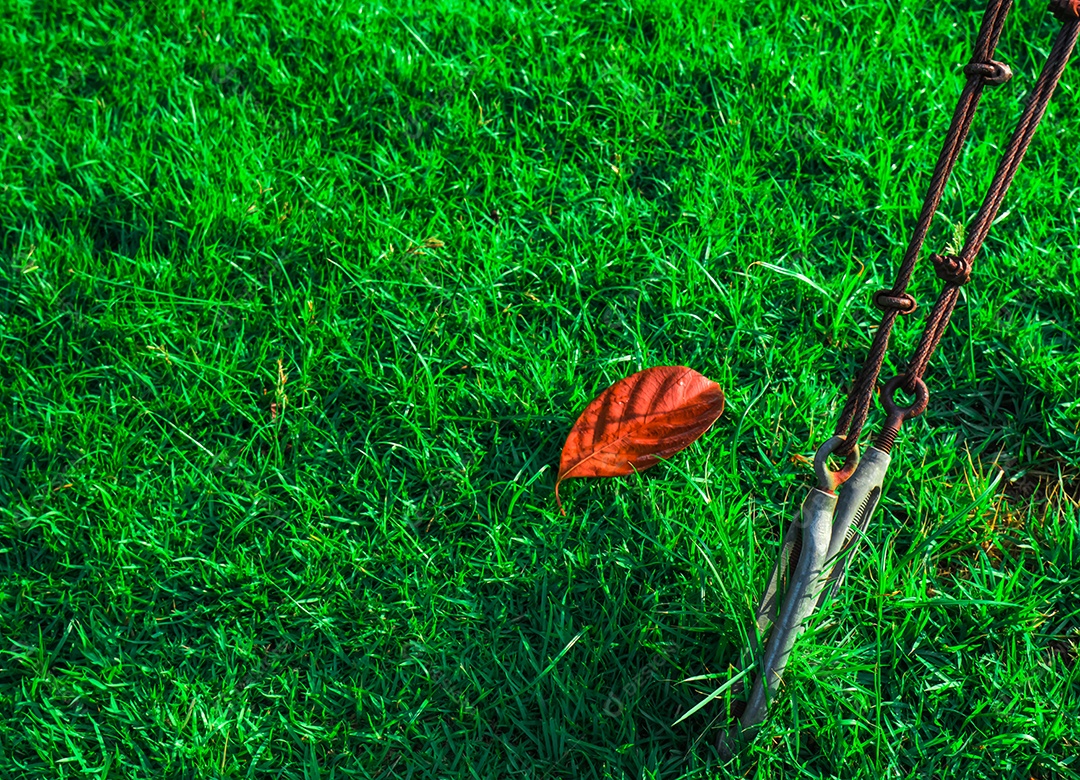 Grampo de estilingue de cabo de aço na grama verde e folha seca vermelha
