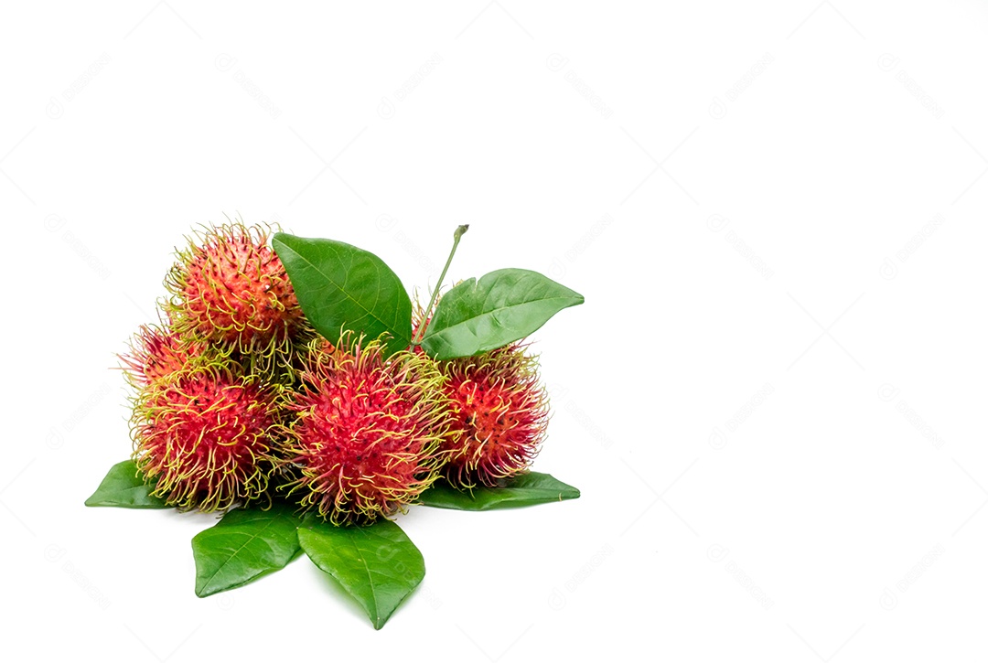 Aproximação do rambutan maduro vermelho fresco (Nephelium lappaceum)
