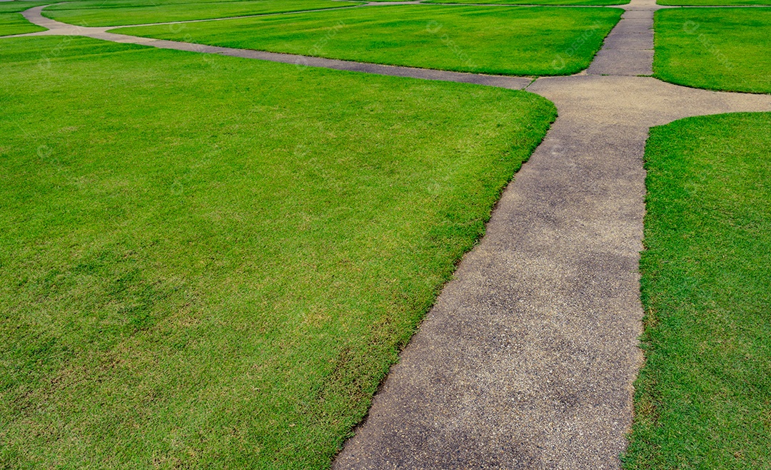 Campo de grama verde com fundo de textura