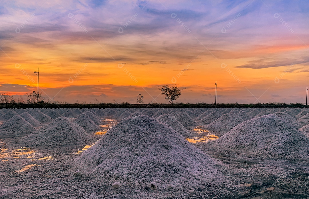 Fazenda de sal pela manhã com o céu do nascer do sol. Sal marinho orgânico.