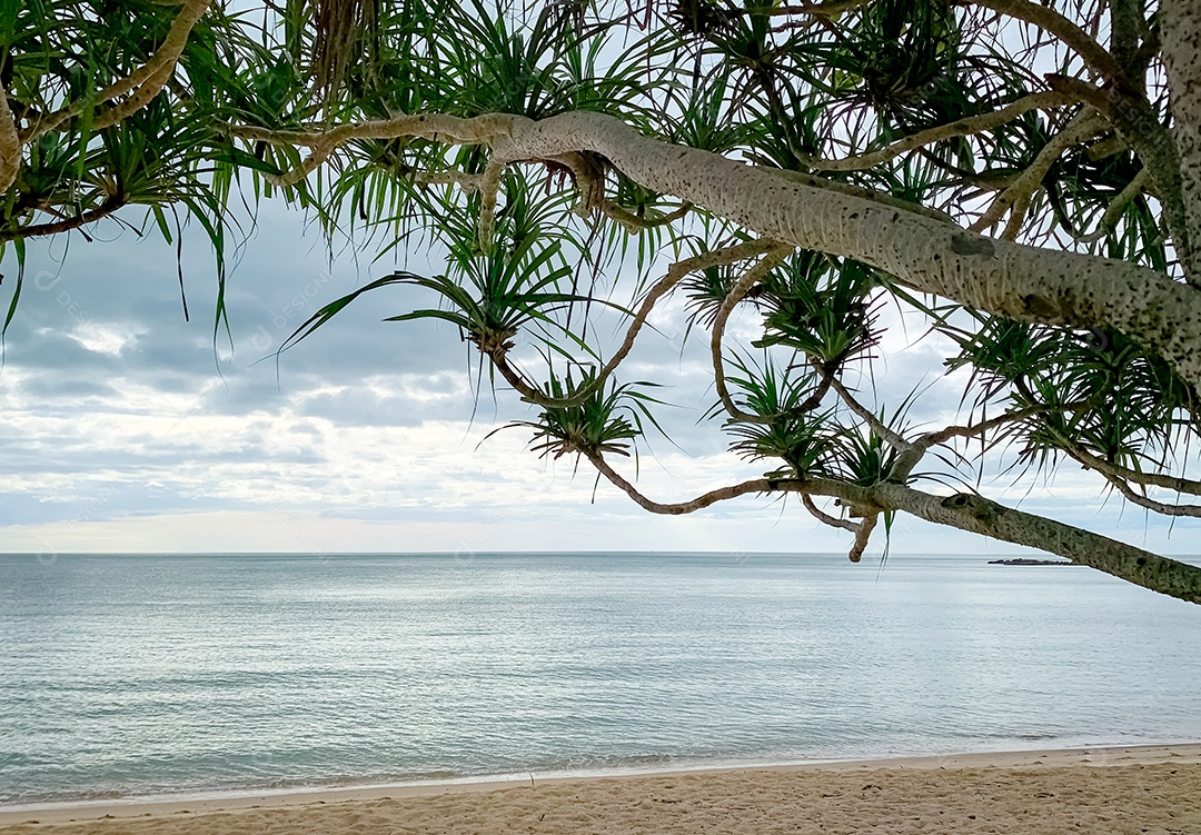 Praia de areia pela manhã com céu cinza.