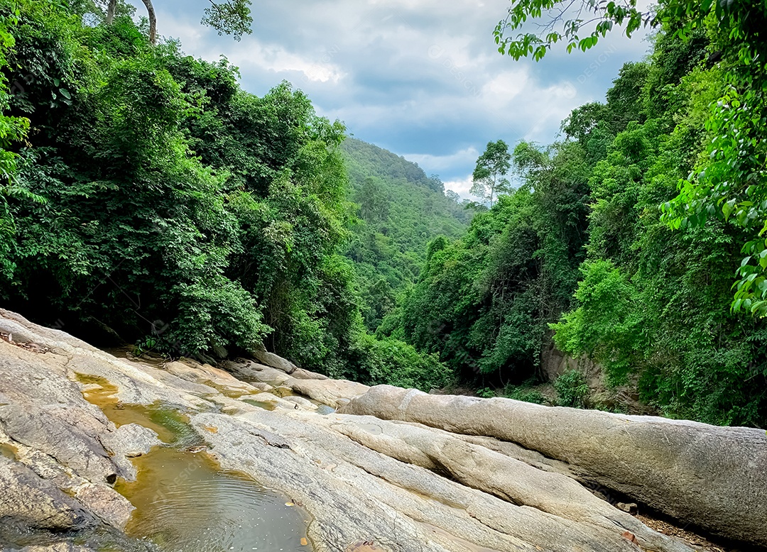 Bela floresta e montanha com céu azul e branco cumulus