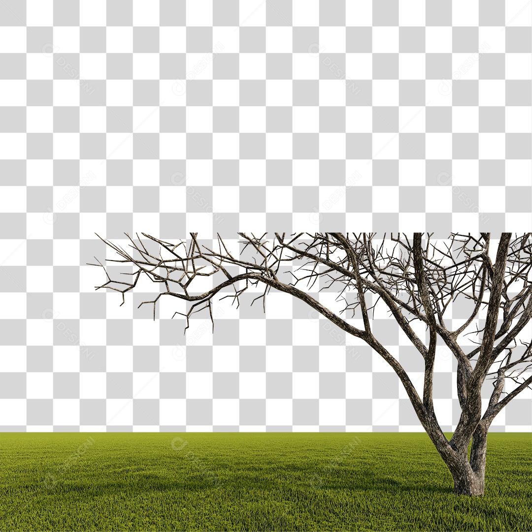 Grande Árvore na Grama PNG Transparente