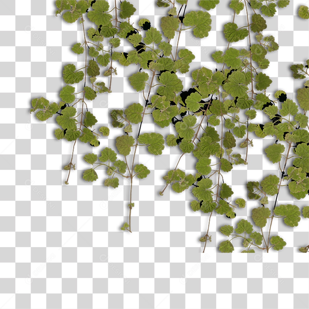 Árvore de Folha Verde Planta Cenário PNG Transparente