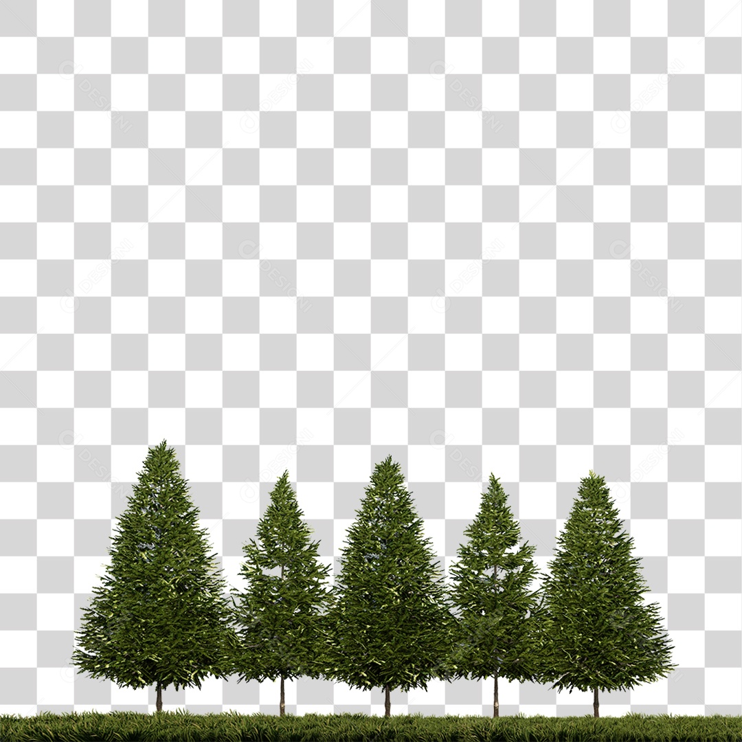 Árvores Grandes em Grama PNG Transparente