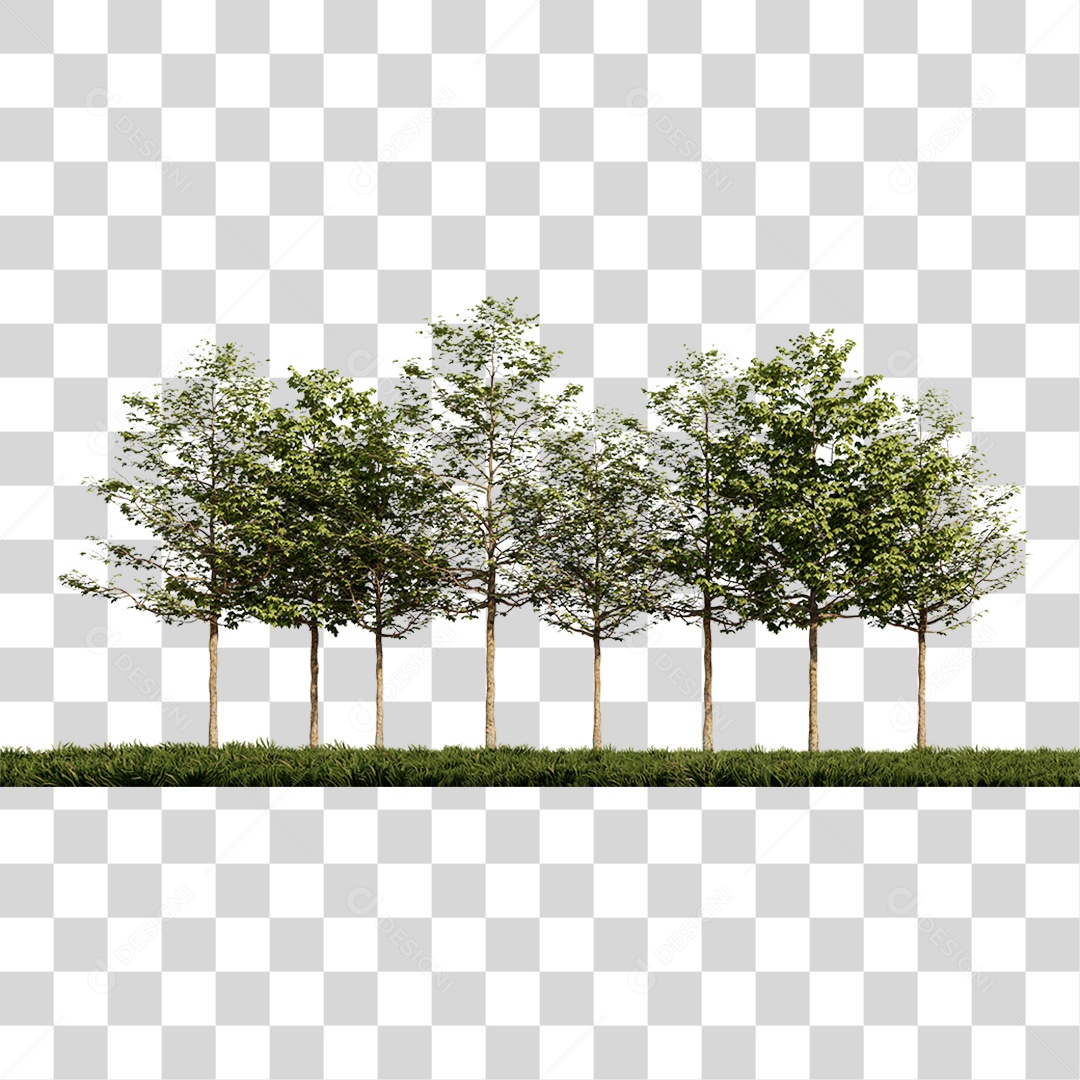 Grandes Árvores na Grama PNG Transparente