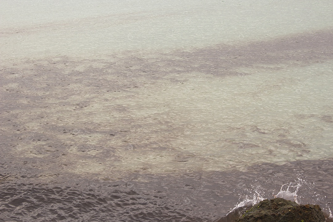 Vista de uma parte do mar com algas (algas), escurecendo o w