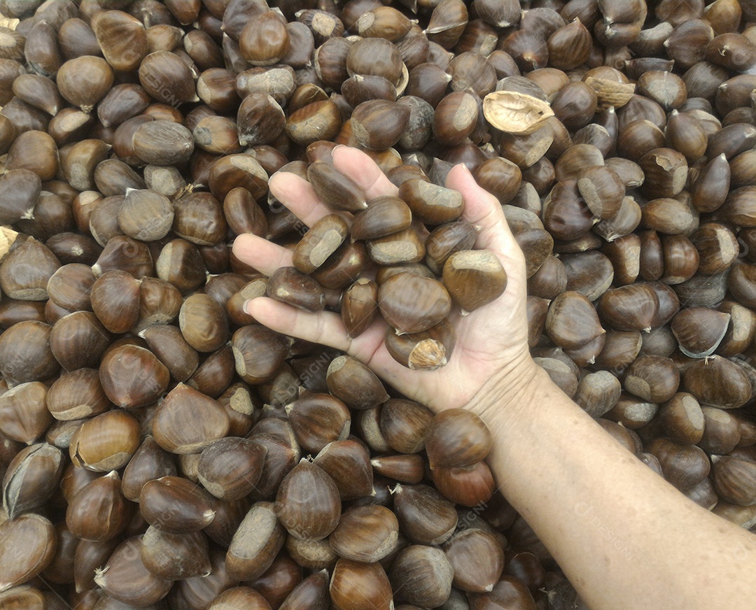 Mãos de pessoa segurando olhos de boi