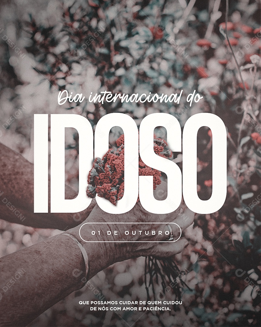 Que Possamos Cuidar de quem Cuidou de Nós Dia Nacional do Idoso Social Media PSD Editável