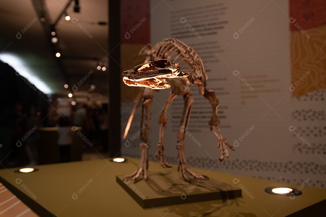 Esqueleto de dinossauro na Expo Dinosaurs - Patagotitan, o maior dinossauro do mundo