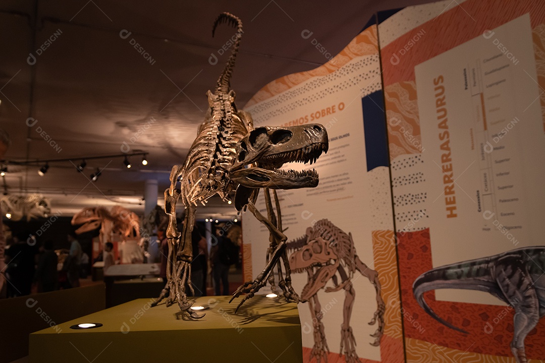 Esqueleto de Herrerassauro na Expo Dinosaurs - Patagotitan, o maior dinossauro do mundo