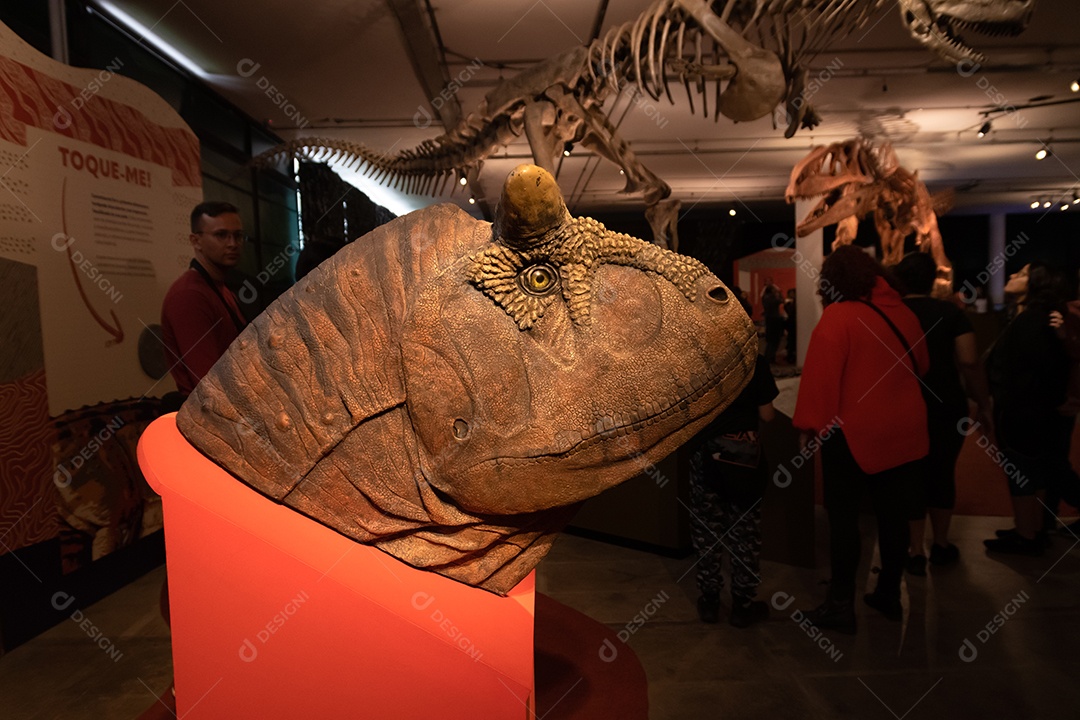 Cabeça de Carnotaurus na Expo Dinosaurs - Patagotitan, o maior dinossauro do mundo