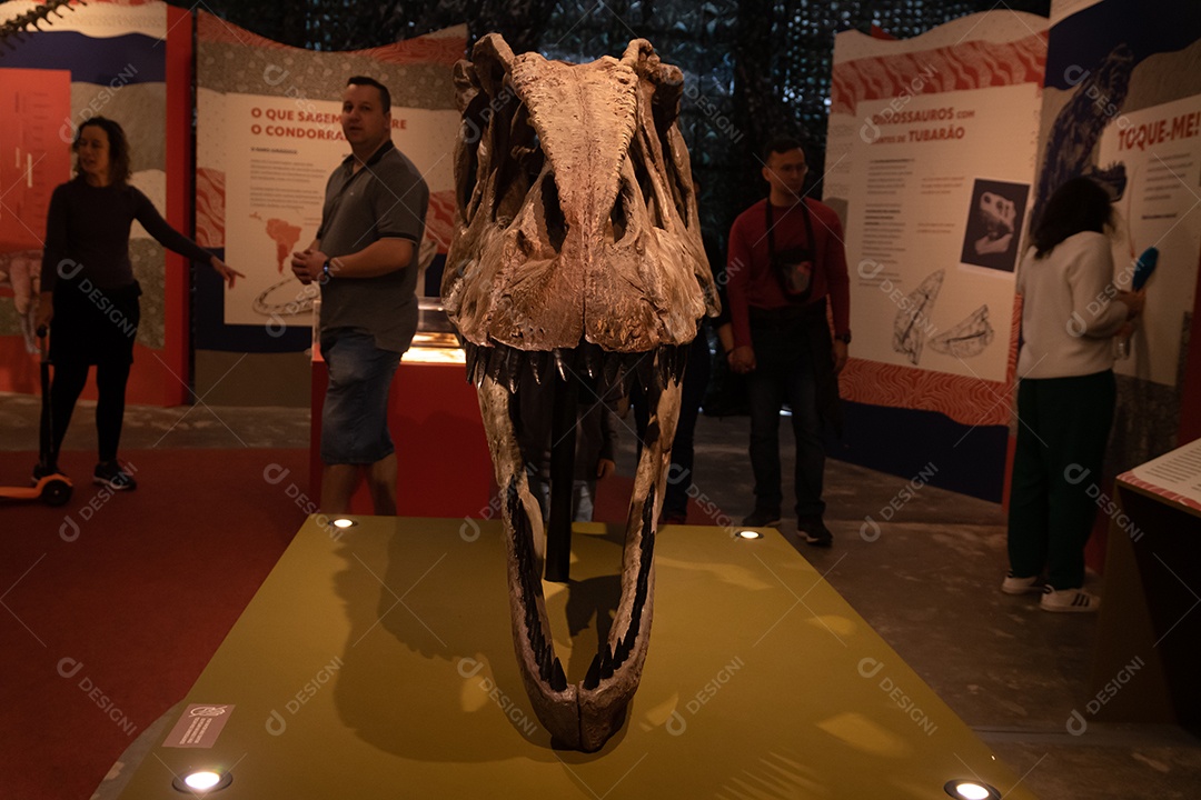 Cabeça de Carnotaurus na Expo Dinosaurs - Patagotitan, o maior dinossauro do mundo