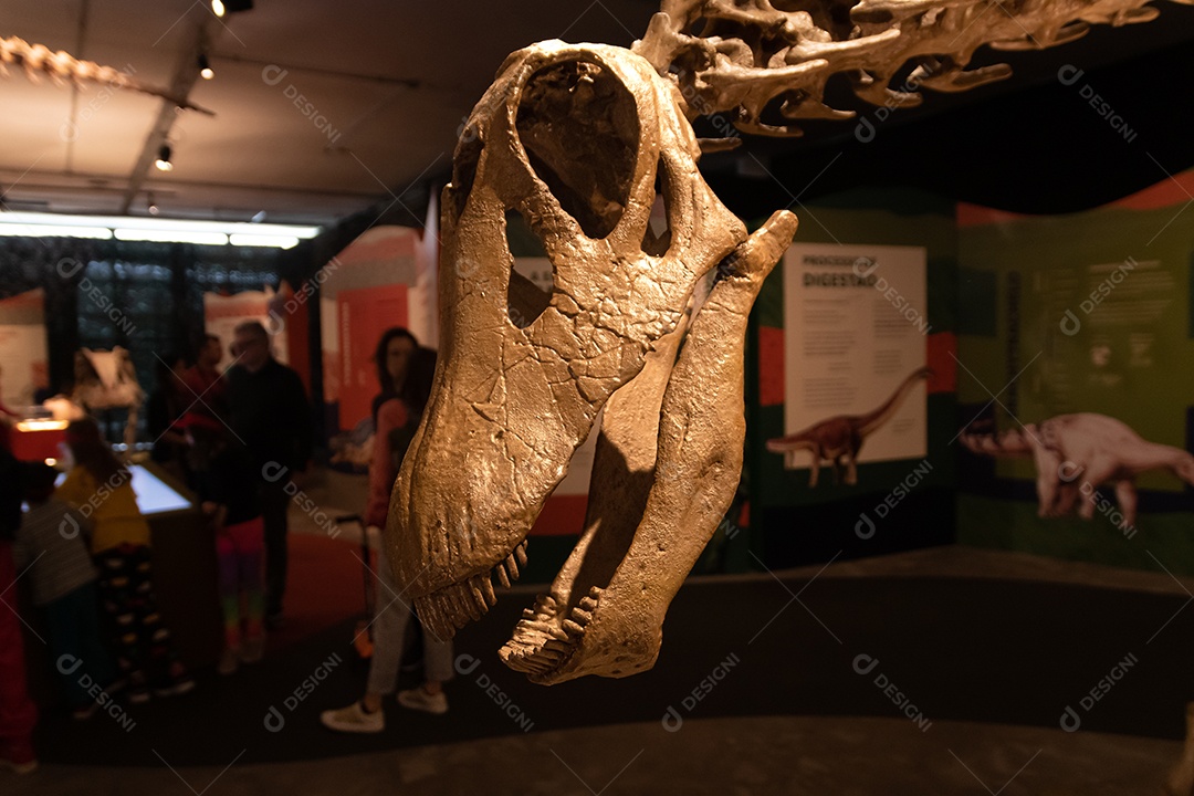 Esqueleto de dinossauro na Expo Dinosaurs - Patagotitan, o maior dinossauro do mundo