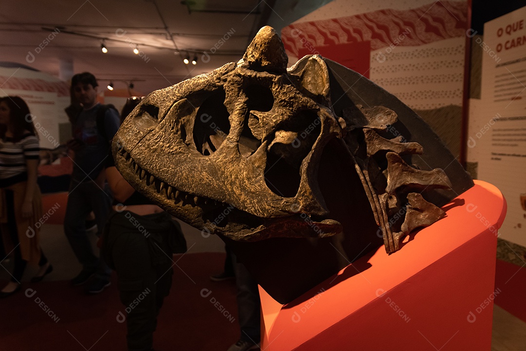 Esqueleto de Carnotaurus na Expo Dinosaurs - Patagotitan, o maior dinossauro do mundo