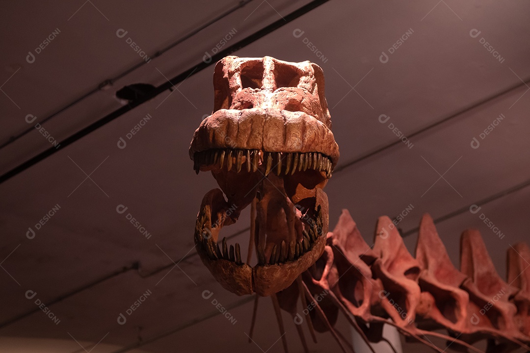 Esqueleto Patagotitan em vista de perto