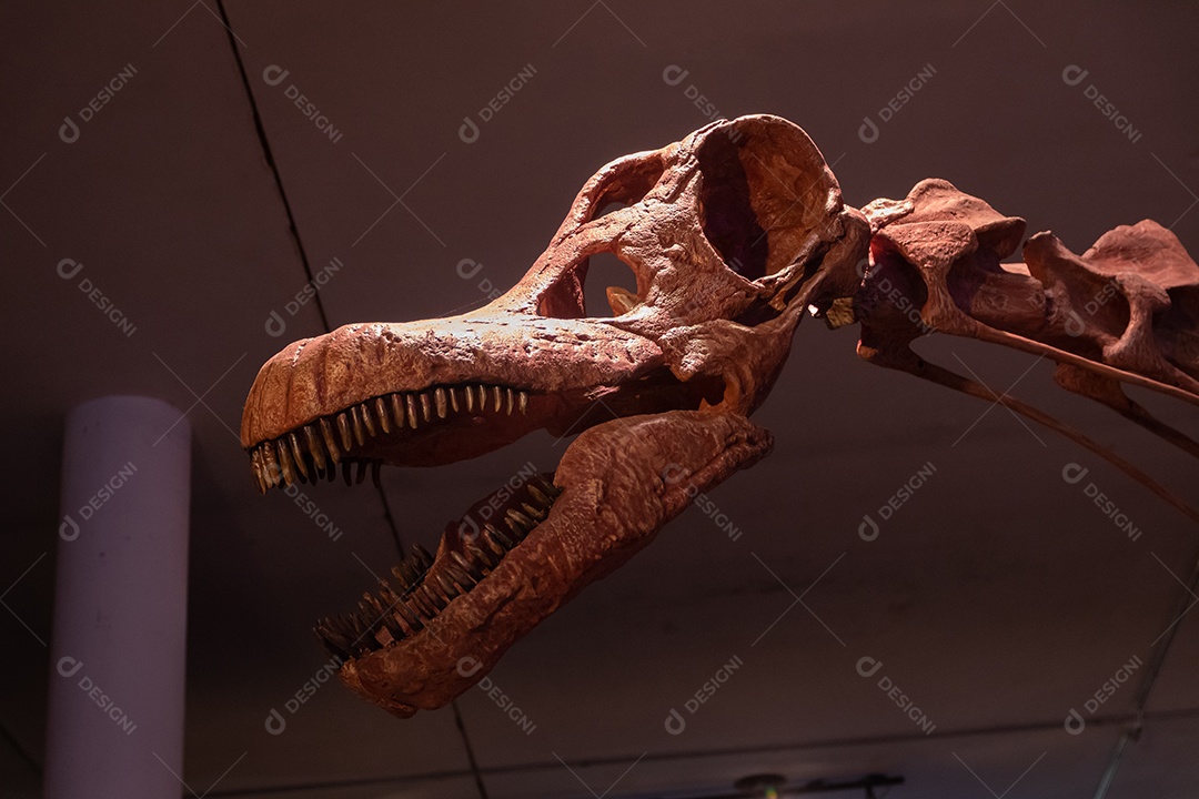 Esqueleto Patagotitan em vista de perto