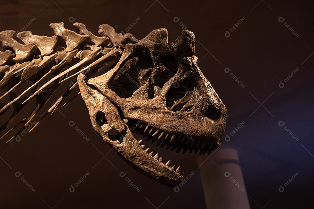 Esqueleto Patagotitan em vista de perto