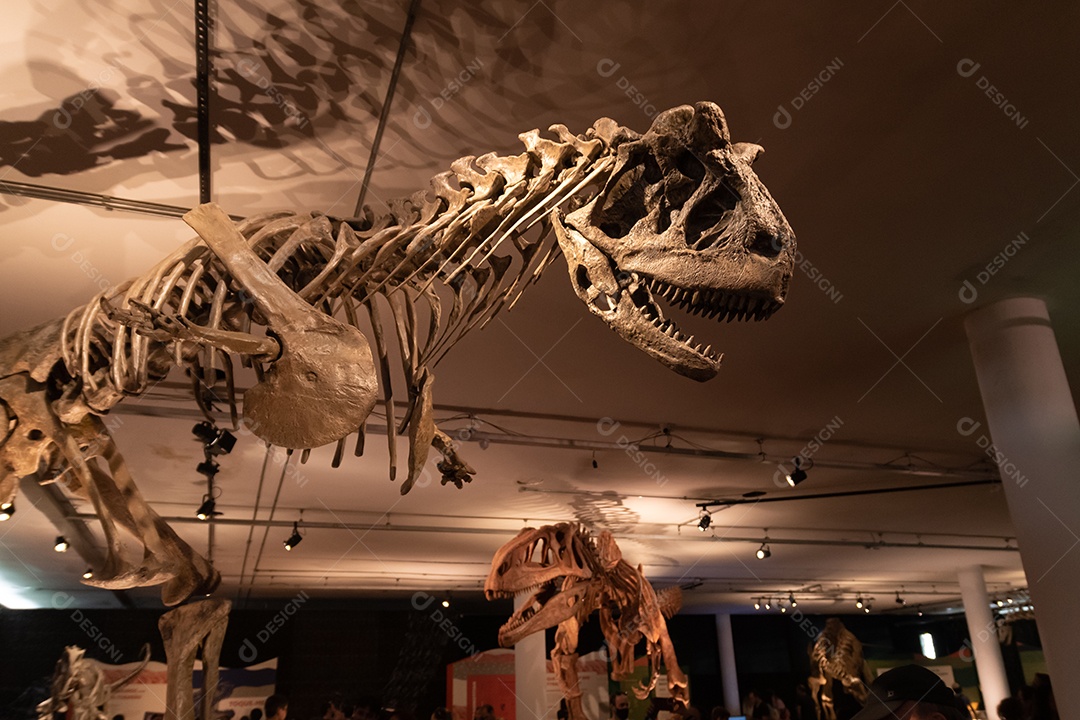 Esqueleto Patagotitan em vista de perto