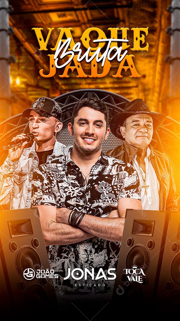 Flyer Show João Gomes, Jonas Esticado e Toca do Vale Story Social Media PSD Editável