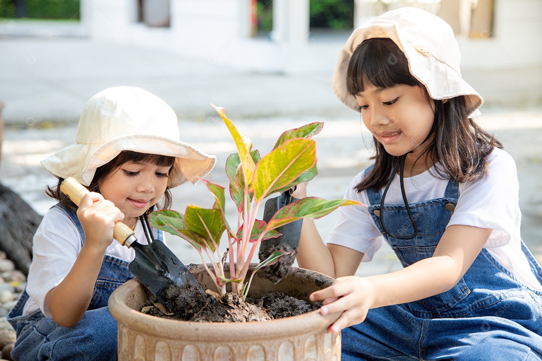 irmãos menina asiática está plantando árvore de flores de primavera em vasos