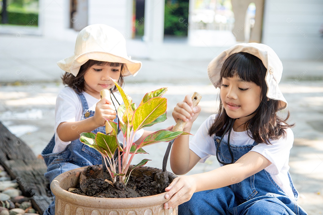 irmãos menina asiática está plantando árvore de flores de primavera em vasos