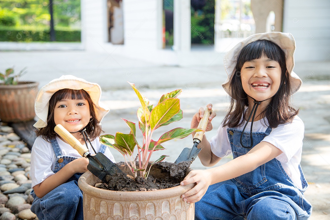 irmãos menina asiática está plantando árvore de flores de primavera em vasos