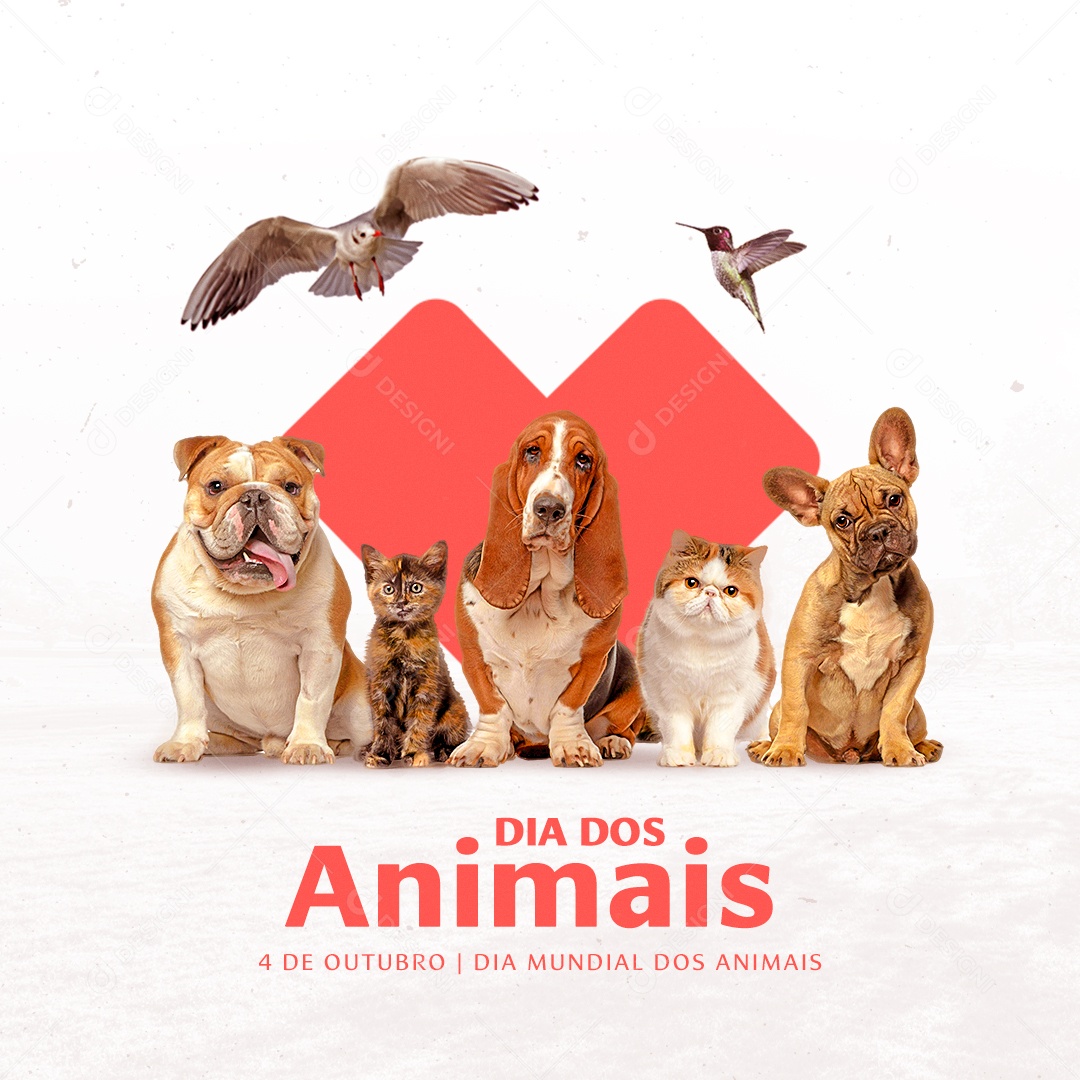Social Media 04 de Outubro Dia Mundial dos Animais PSD Editável