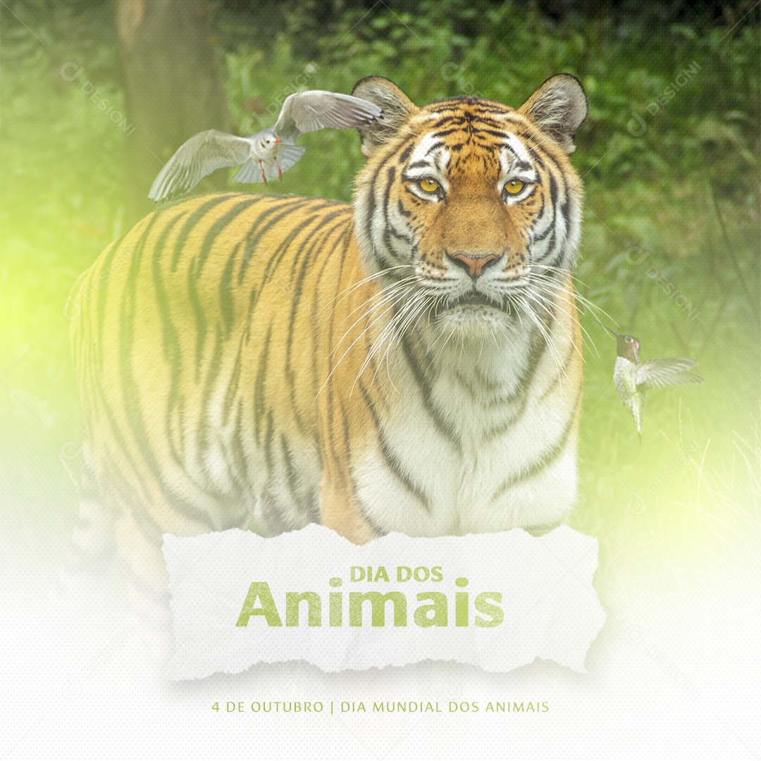 Social Media 04 de Outubro Dia Mundial dos Animais PSD Editável