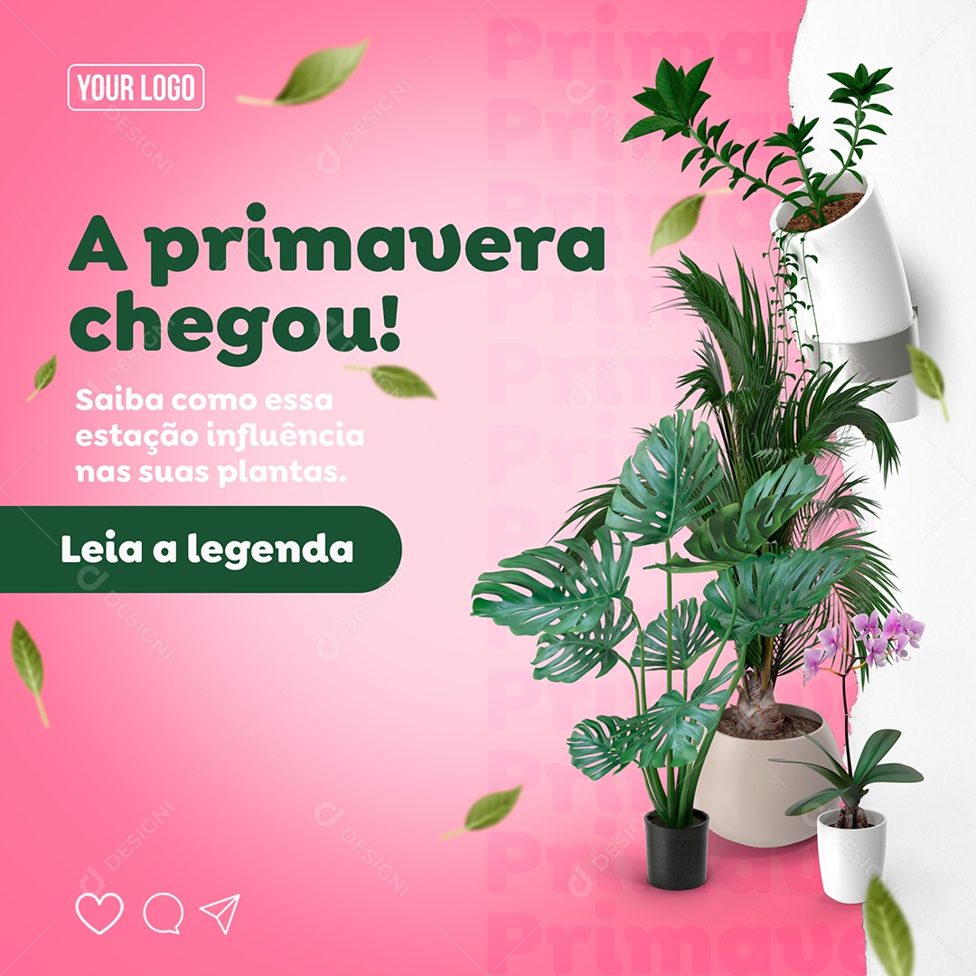 A Primavera Chegou 22 de Setembro Social Media PSD Editável