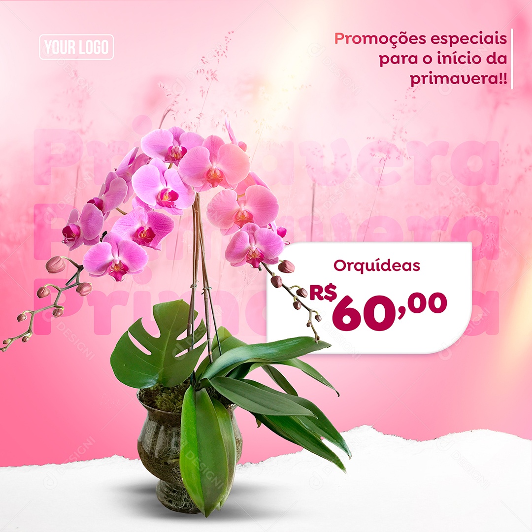 Promoções Especiais para o Início da Primavera Orquídeas Social Media PSD Editável