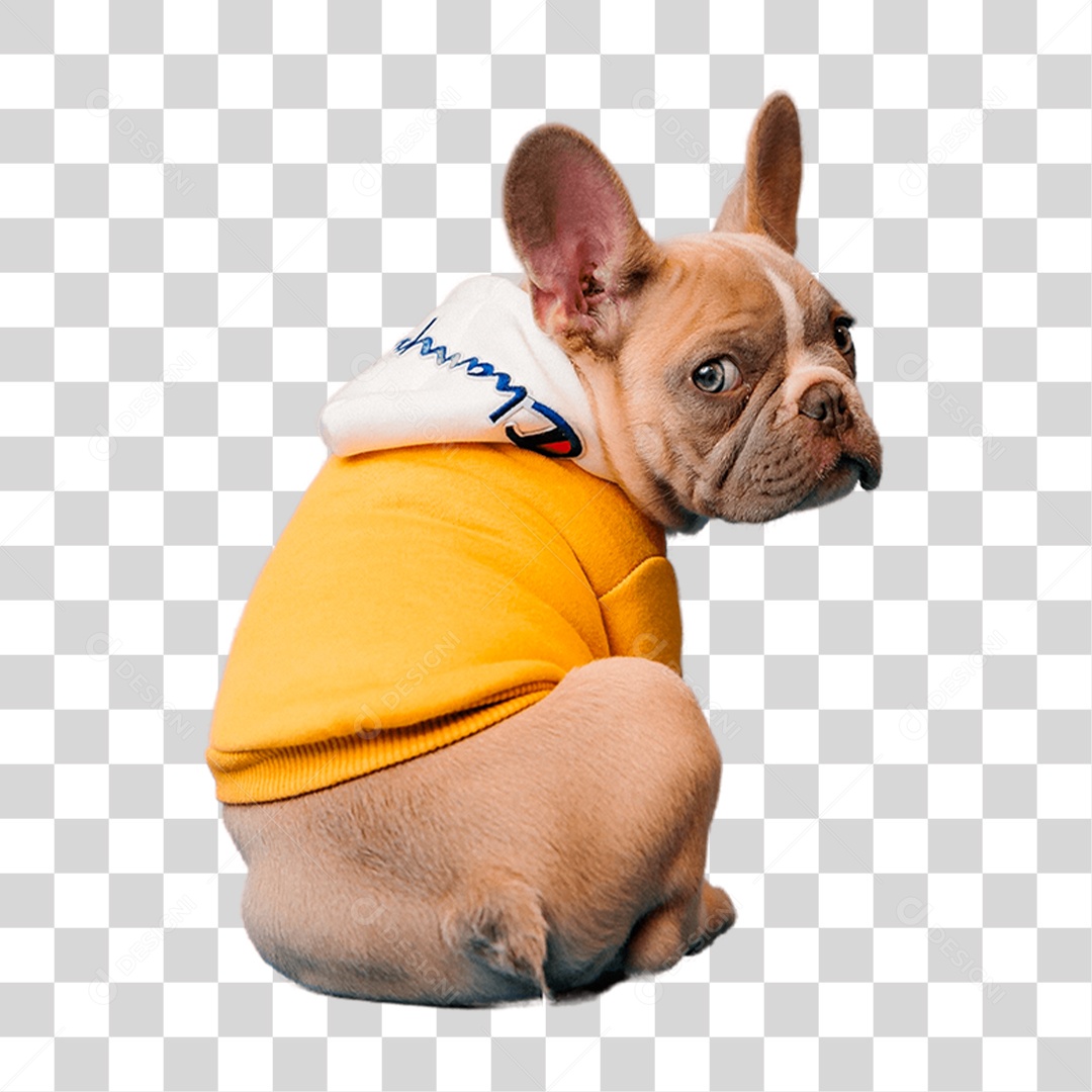 Cachorro PNG Transparente