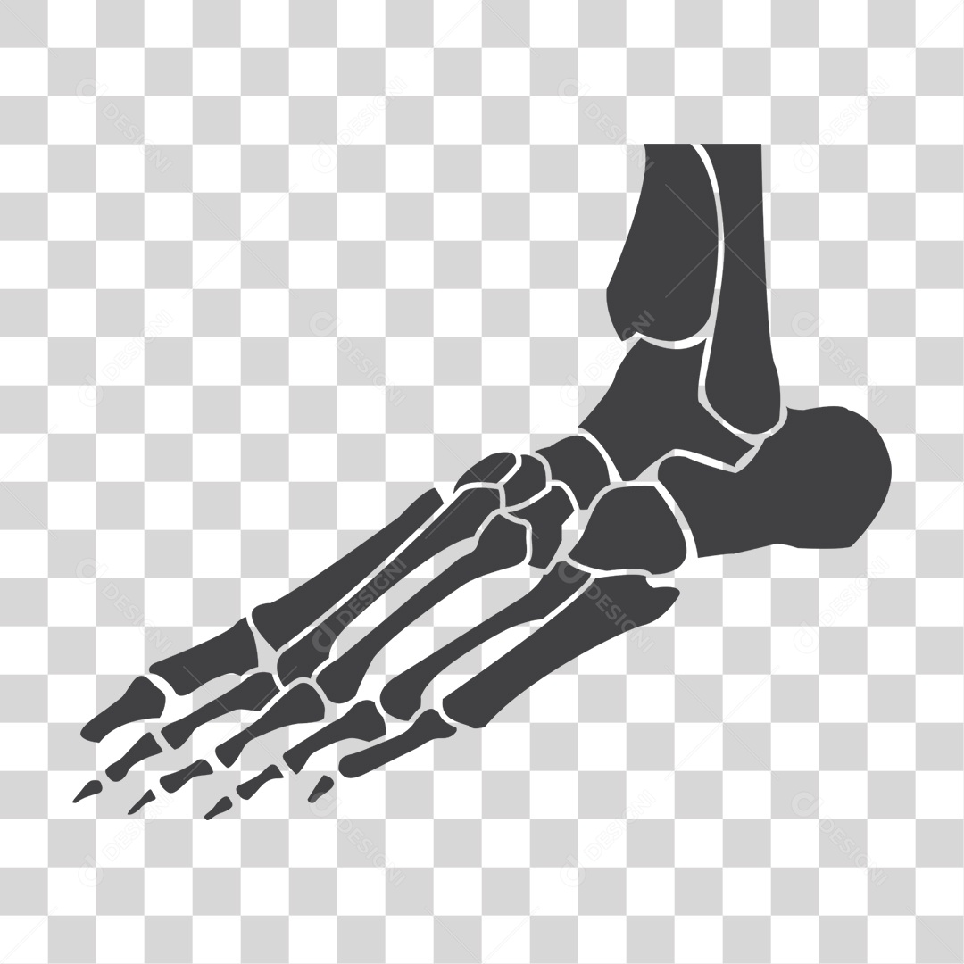 Elemento 3D Pé esquelético Para Composição PNG Transparente