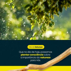 A Importância da Natureza Social Media PSD Editável