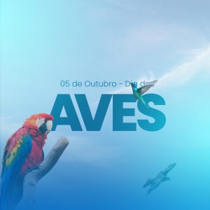 Dia das Aves Pássaros 05 de Outubro Social Media PSD Editável
