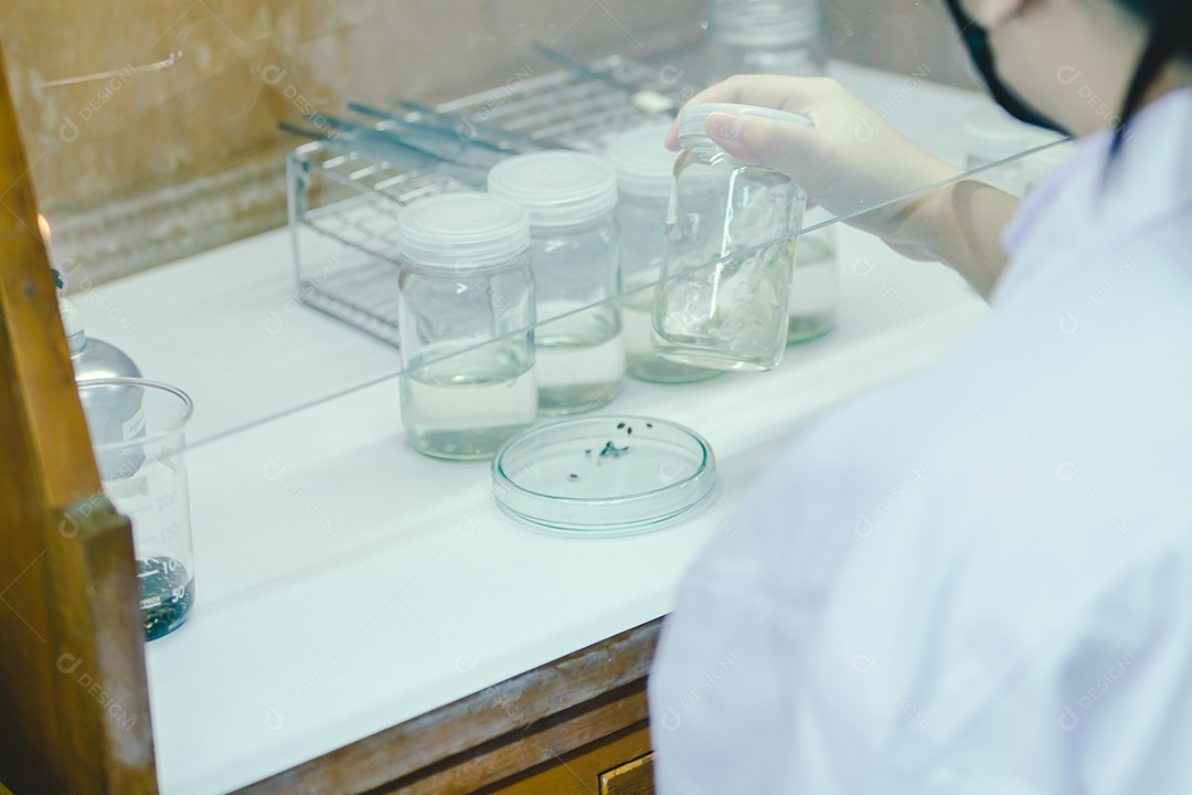 As mãos do cientista derramando solvente nas garrafas
