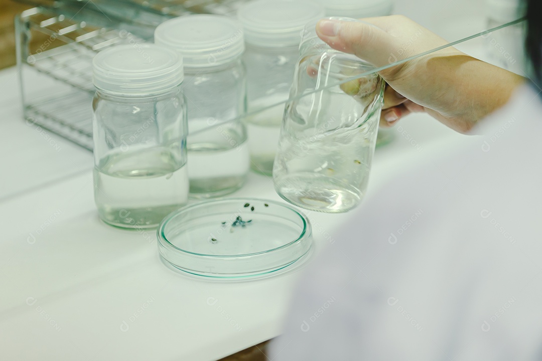 As mãos do cientista derramando solvente nas garrafas