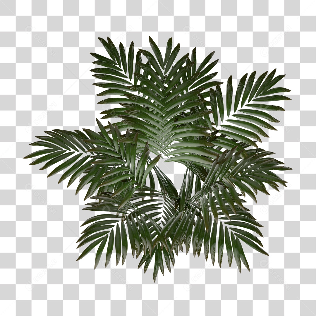 Planta Folhas de Palmeiras Elemento 3D PNG Transparente