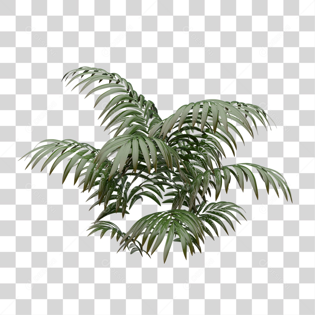 Planta Folhas de Palmeiras Elemento 3D PNG Transparente