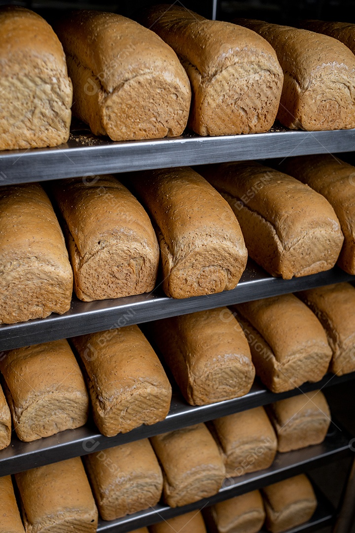 Pães de formas, prontos para venda
