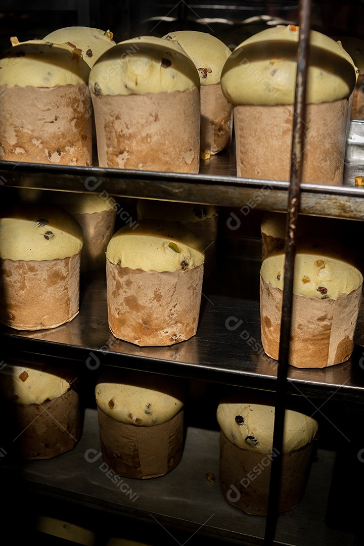 Preparação de panetones com frutas cítricas